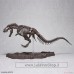 Imaginary Skeleton Tyrannosaurus (Plastic model)