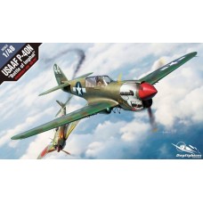 Academy 1/48 USAAF P-40N Battle of Imphal