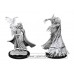 Dungeons & Dragons: Pathfinder Battles Deep Cuts Unpainted Minis: Cultist Devil