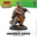 Riot Quest - Arena Miniatures Game - Underboss Vizkoya