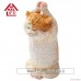 Animal Life Baby Yoga Cat 1 blind box 