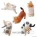 Animal Life Baby Yoga Cat 1 blind box 