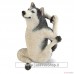 Animal Life Dog Yoga Master 1 Blind Box