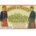 Armies in Plastic - 1/32 - 5437 - American Civil War - 114th Pennsylvania - Union Zouaves