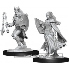 Dungeons & Dragons: Nolzur's Marvelous Unpainted Minis: Kalashtar Female Cleric