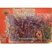 Dark Alliance All72014 Heavy Warriors of the Dead Cavalry 1/72